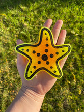 Load image into Gallery viewer, Sea Star Freshie
