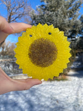 Load image into Gallery viewer, Large Detailed Sunflower Freshie
