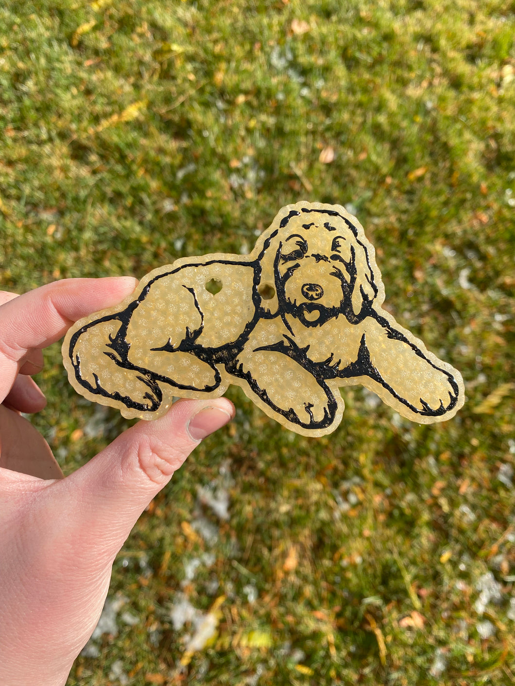 Goldendoodle Dog Freshie